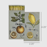 HomArt Botanical Lemon & Orange Citrus Large Matchbox