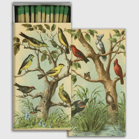HomArt Bird Studies Large Matchbox