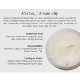 Sara Happ The Dream Slip Overnight Lip Mask