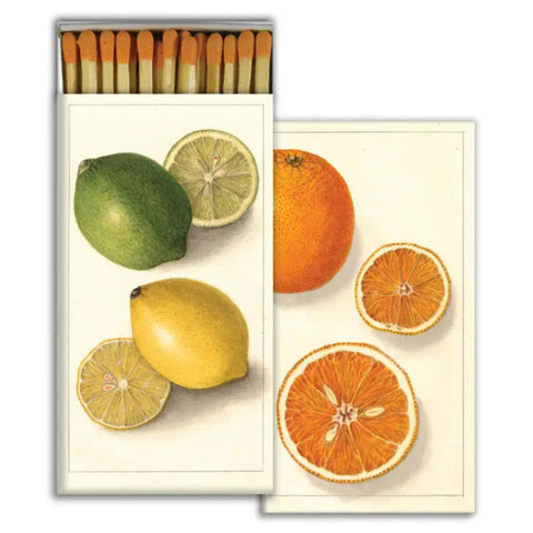 HomArt Still Life Lemon, Lime, & Orange Citrus Large Matchbox